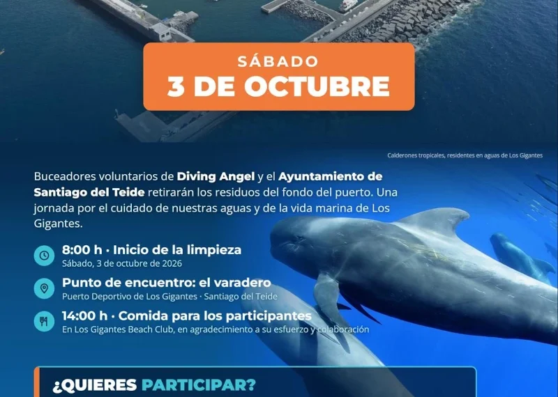 Limpieza submarina del puerto – 3 de octubre de 2026
